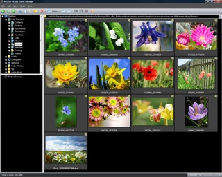 ACDSee Picture Frame Manager