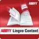 Иллюстрация: ABBYY Lingvo Content